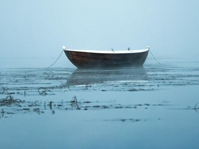 A tranquil natural landscape, like a still lake at dawn.